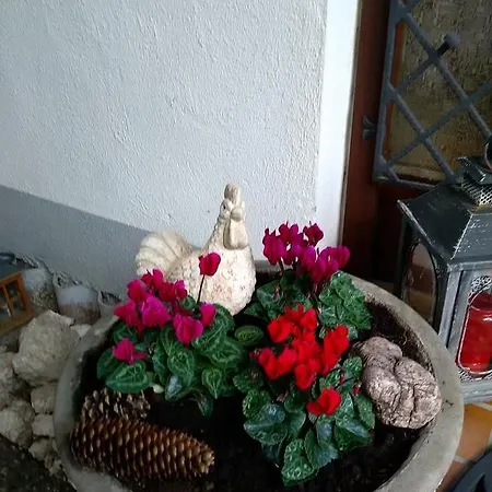 Tannhaeuser バート・デュルハイム