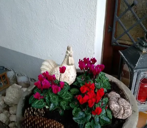 Tannhaeuser Bad Dürrheim